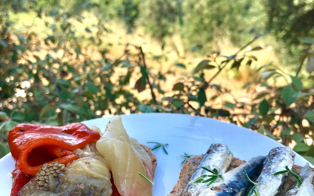 Tostas integrales con escalivada y sardinas