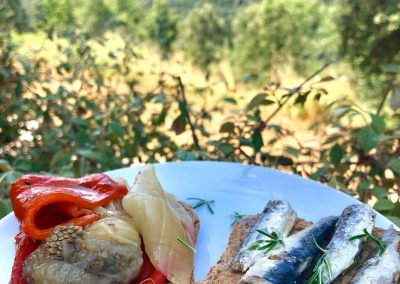 Tostas integrales con escalivada y sardinas