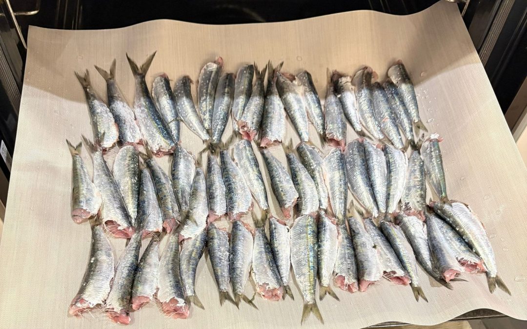 Sardines al forn