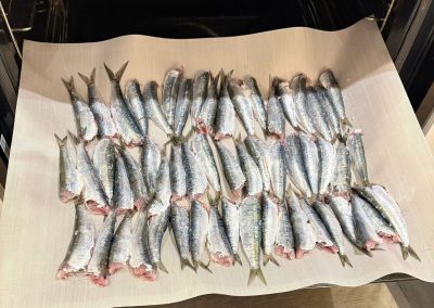 Sardines al forn
